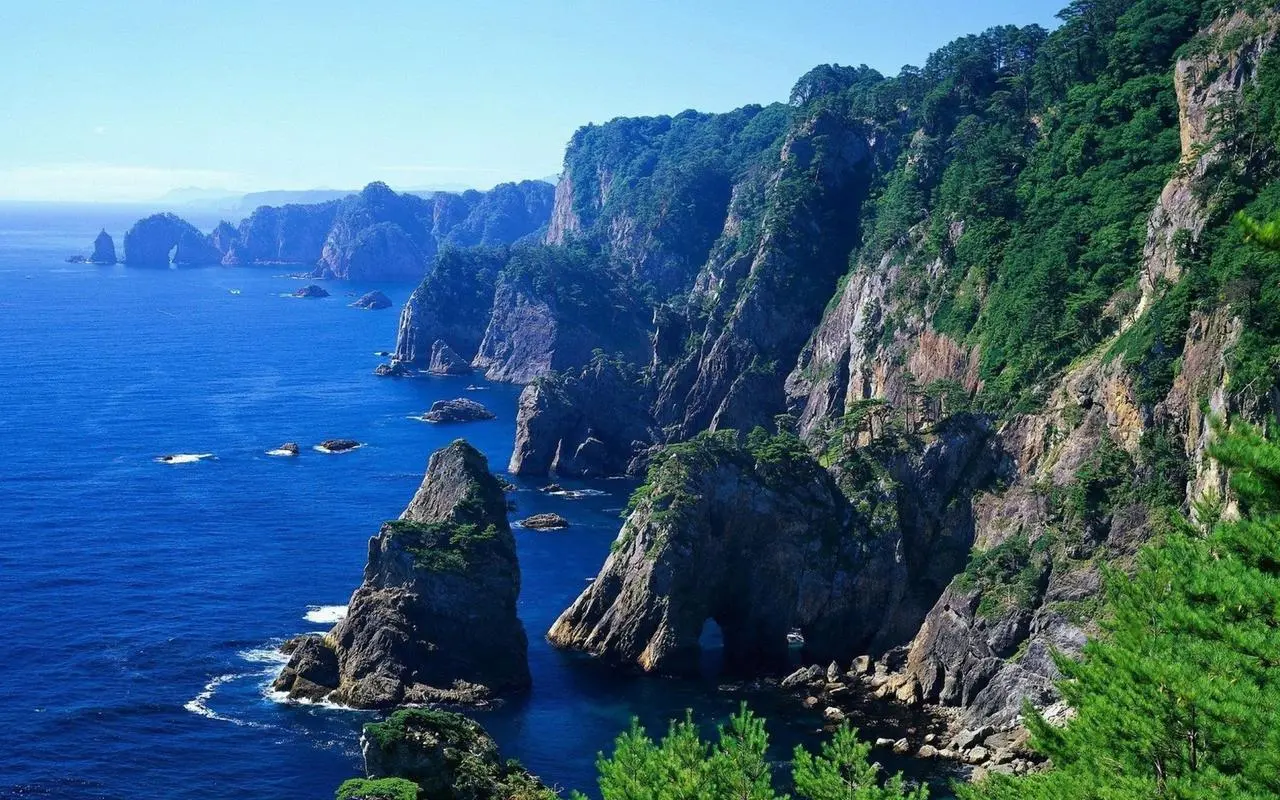 智能全自动高标准